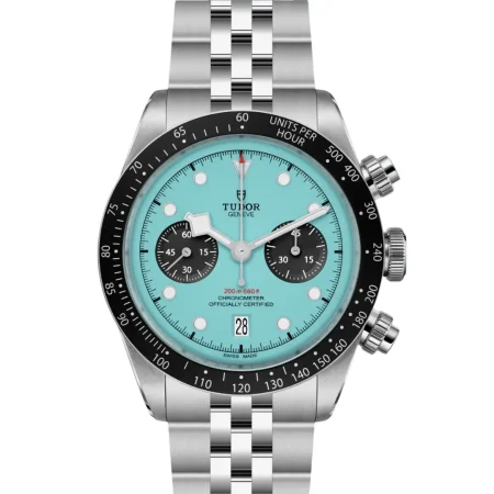 Tudor Black Bay Flamingo